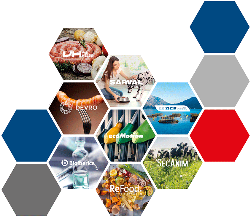 framework2024